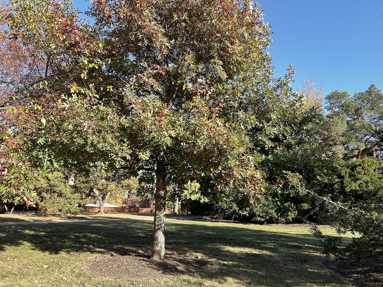 context photo